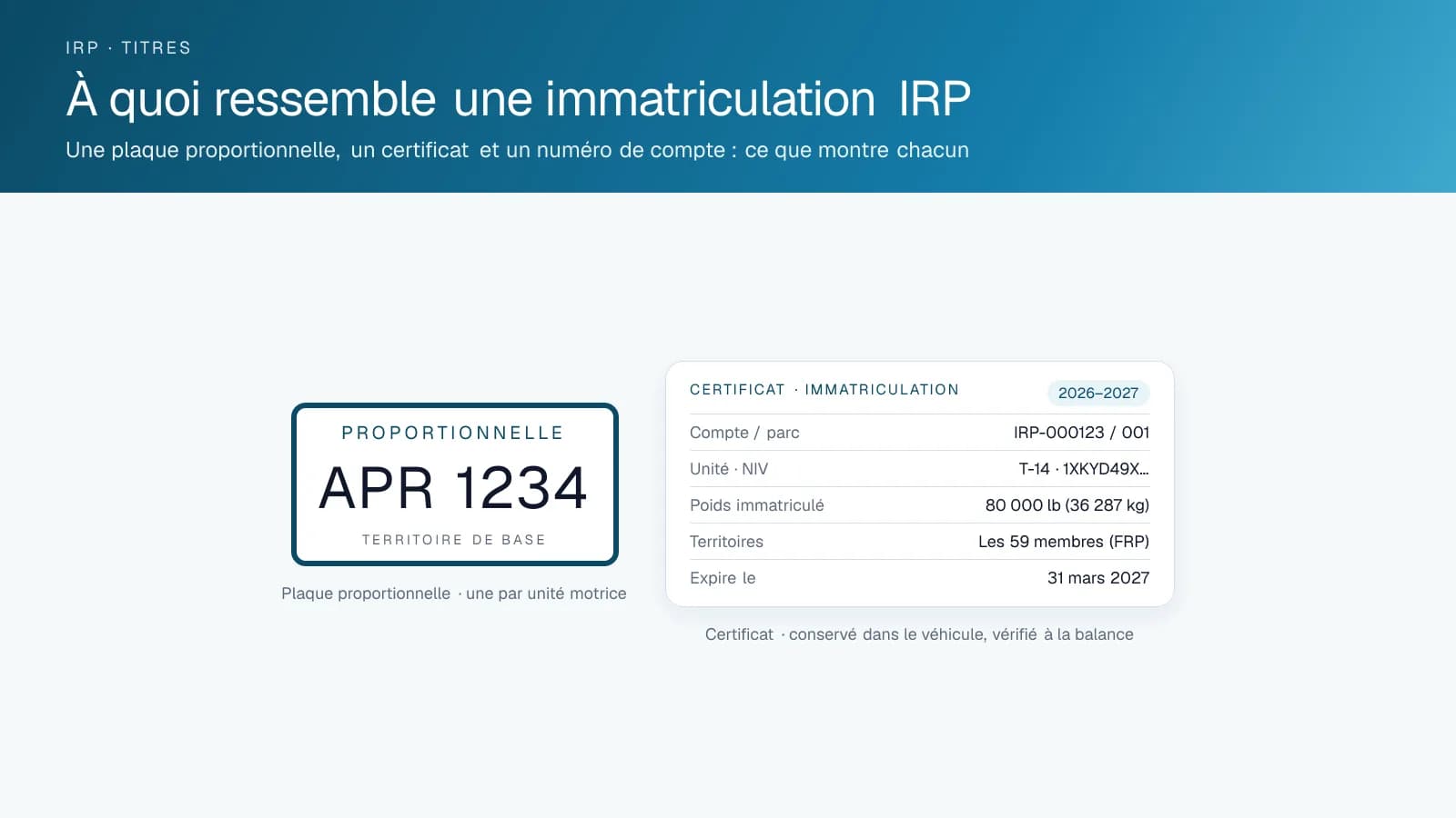 Illustration d'une plaque proportionnelle à côté d'un certificat d'immatriculation indiquant le compte, l'unité, le poids immatriculé, les territoires et l'expiration