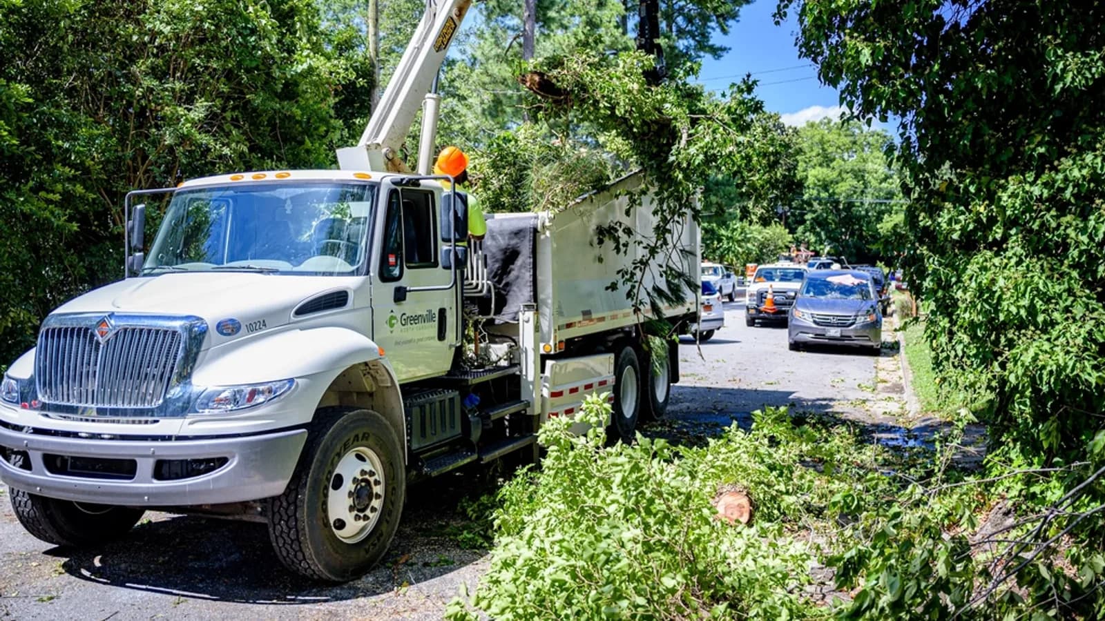 A tree service bucket truck parked on a tree-lined street with branches piled beside it