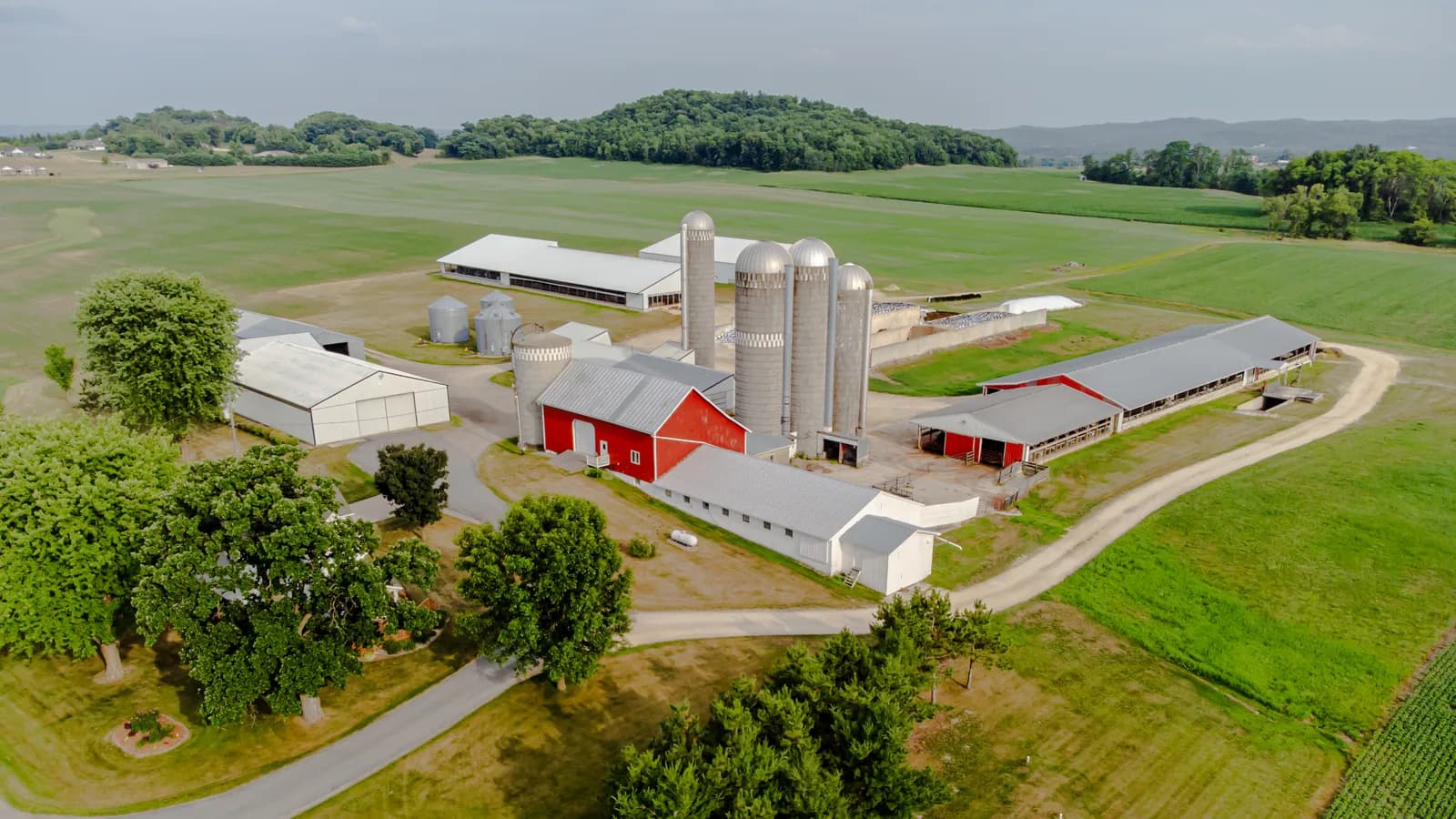 An aerial view of a dairy farm with barns and silos