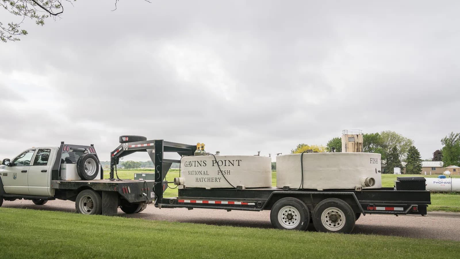 A pickup truck hitched to a gooseneck flatbed trailer