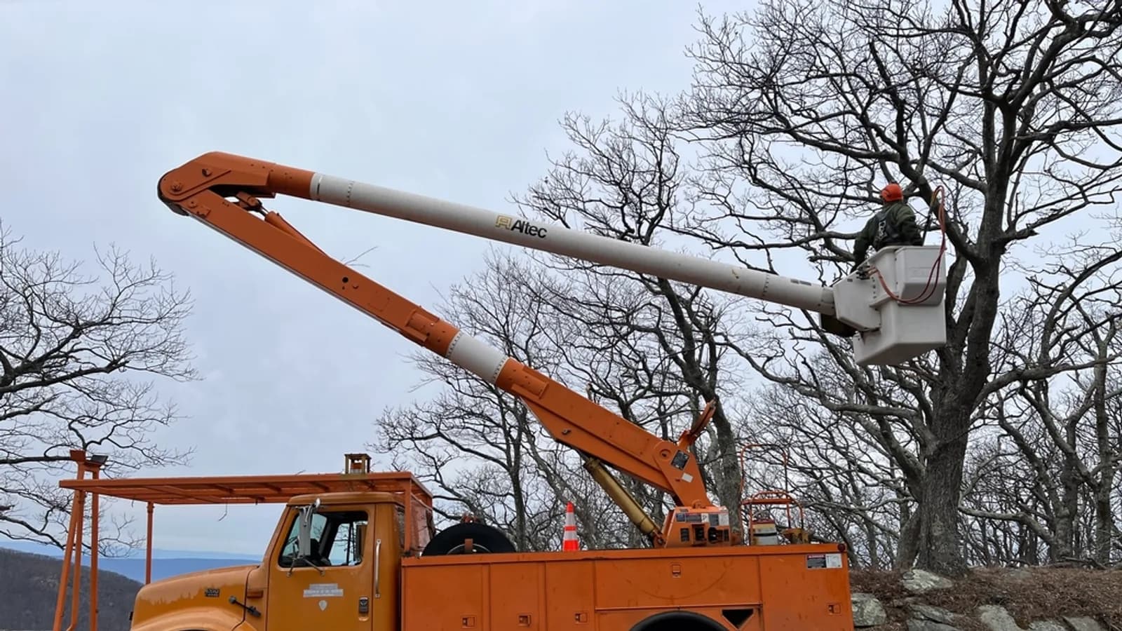 An orange utility bucket truck with its boom raised to a lineman working in bare trees after an ice storm